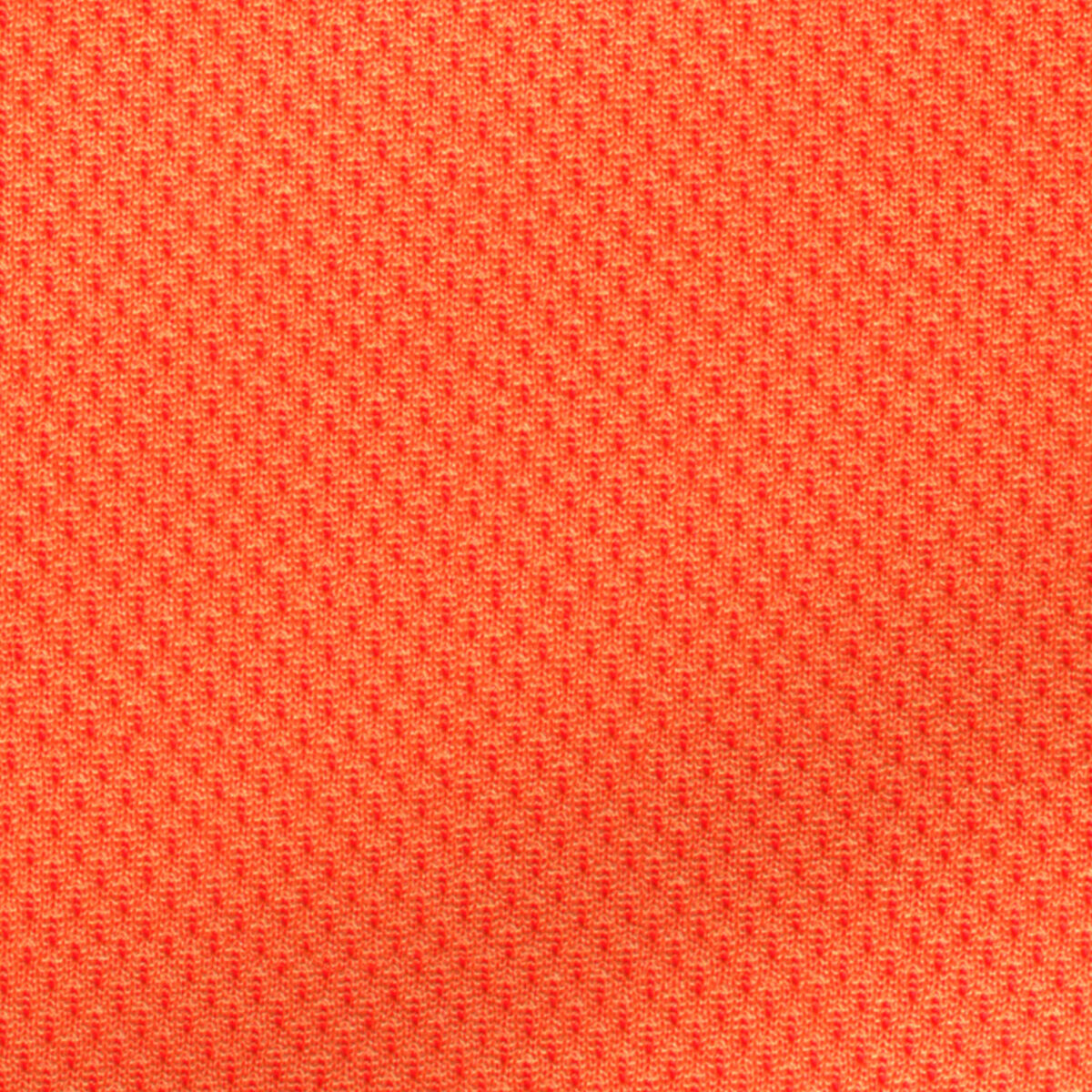 BCKBIR01242 - Image 2