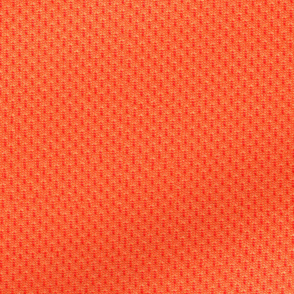 BCKBIR01242 - Image 2