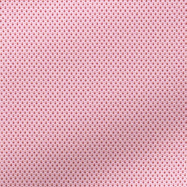 BCKPIQ00346 - Image 2