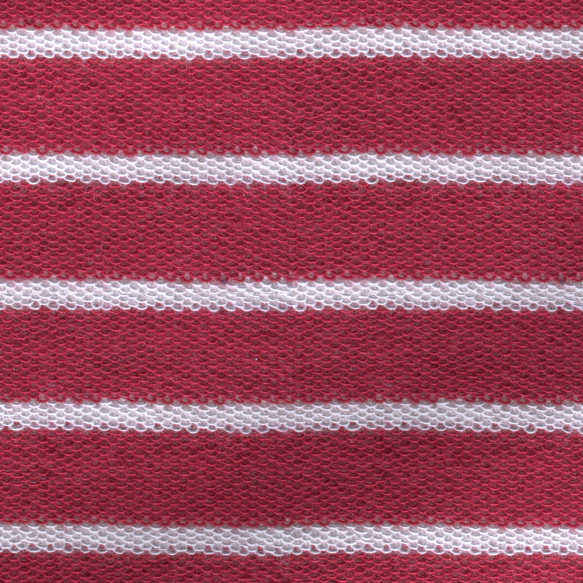 BCKTER01486 - Image 2