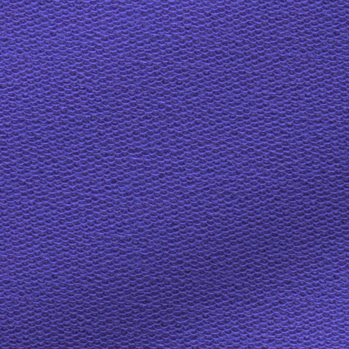 BCKTER01487 - Image 2