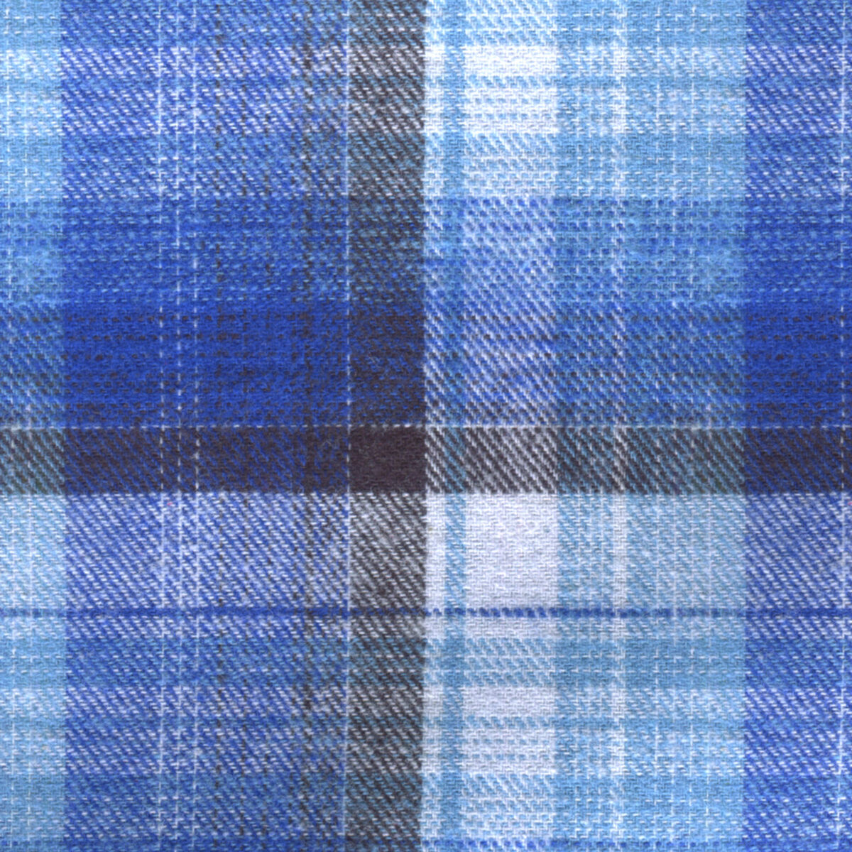 BCWFLA02818 - Image 4