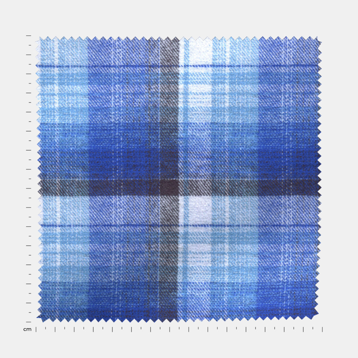 BCWFLA02818 - Image 2