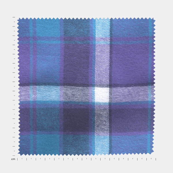 BCWFLA02826 - Image 3