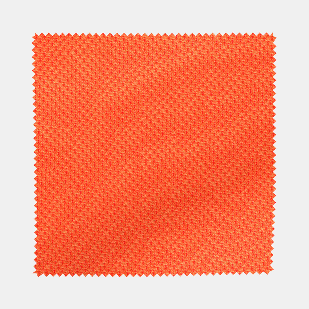 BCKBIR01242 - Image 4