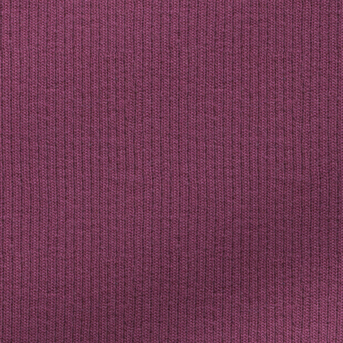 BCKRIB03318 - Image 2