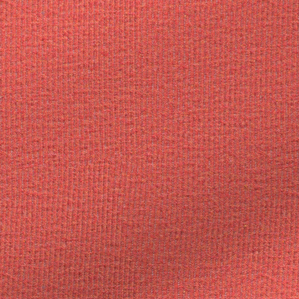 BCKRIB03331 - Image 2