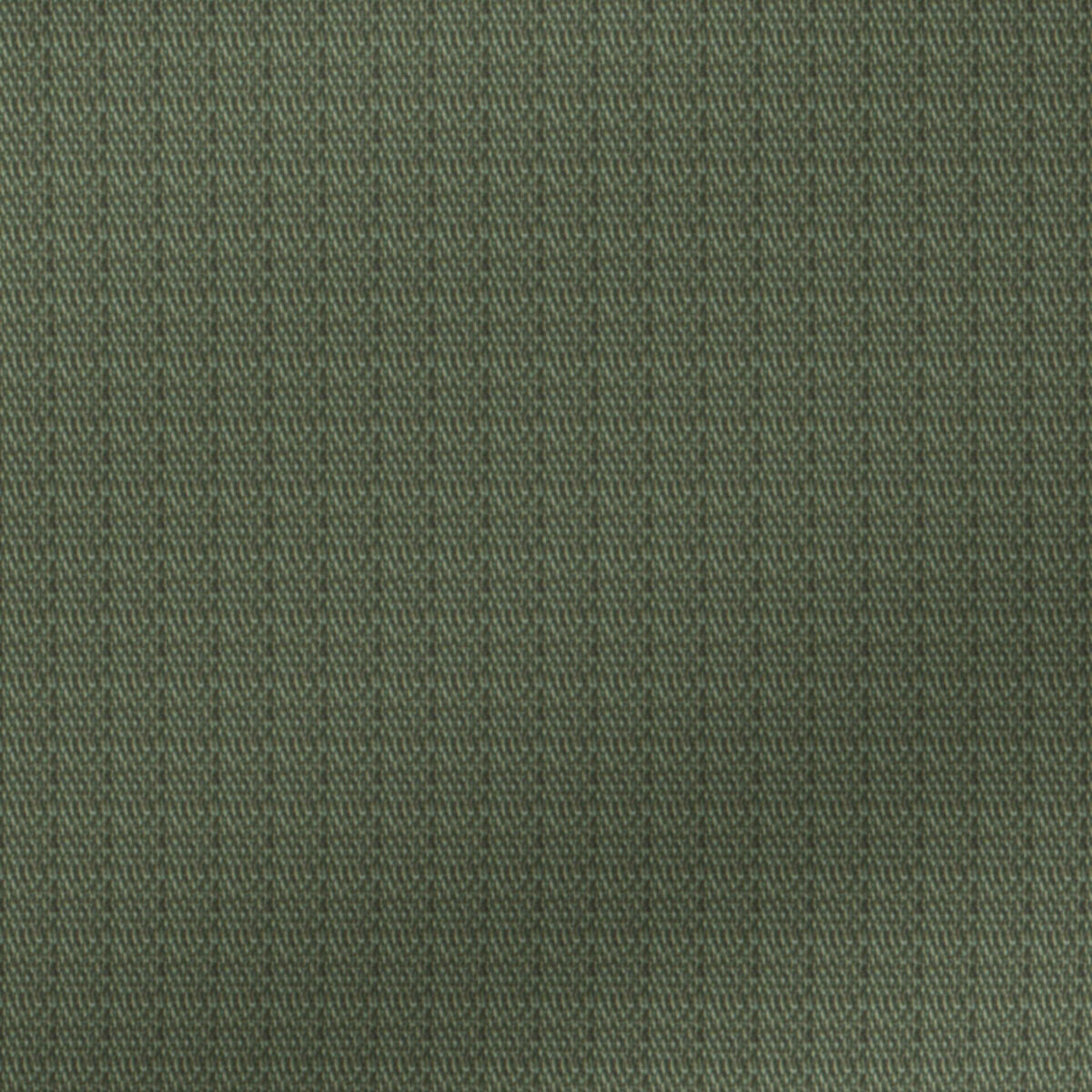 BCWRIP03652 - Image 2