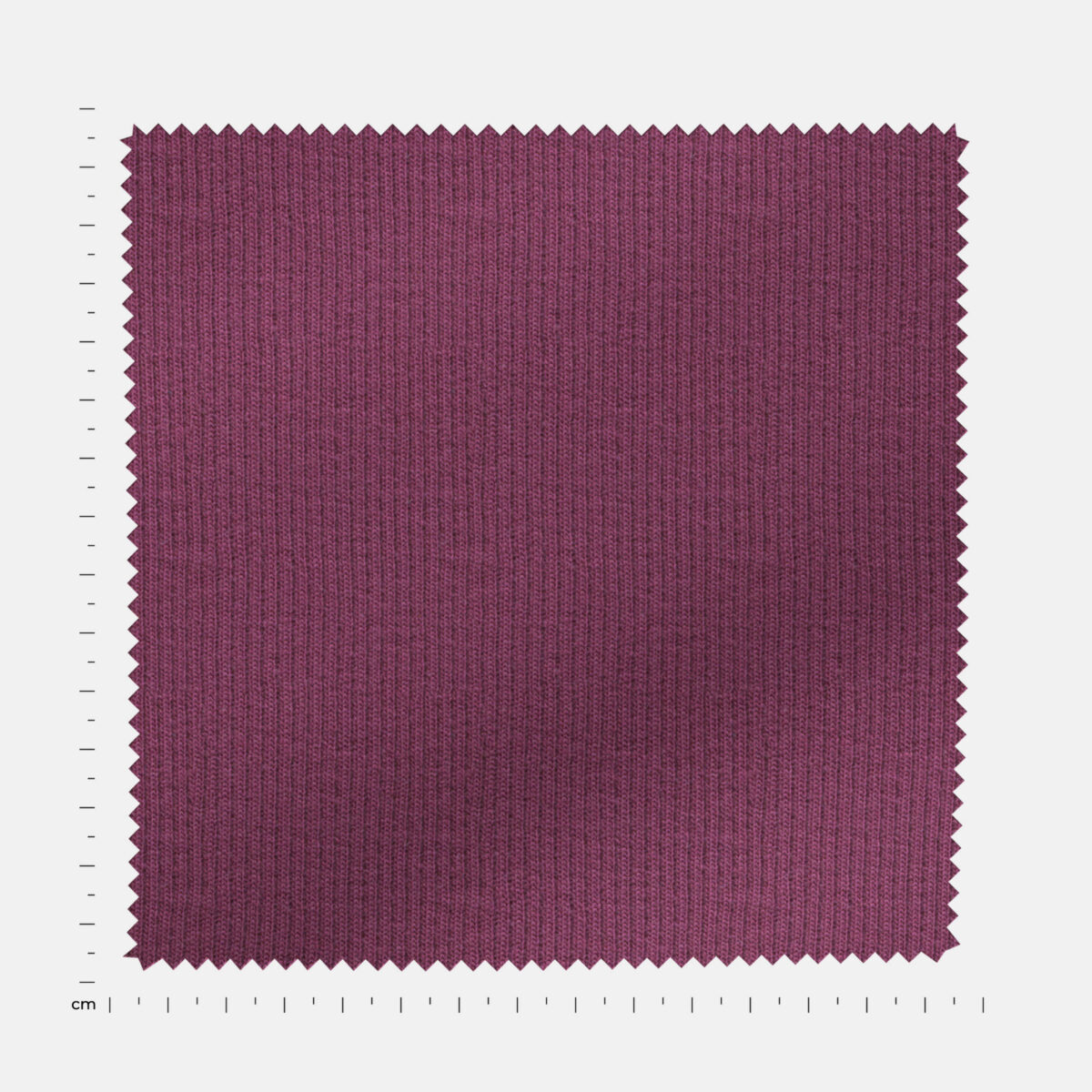 BCKRIB03318 - Image 4