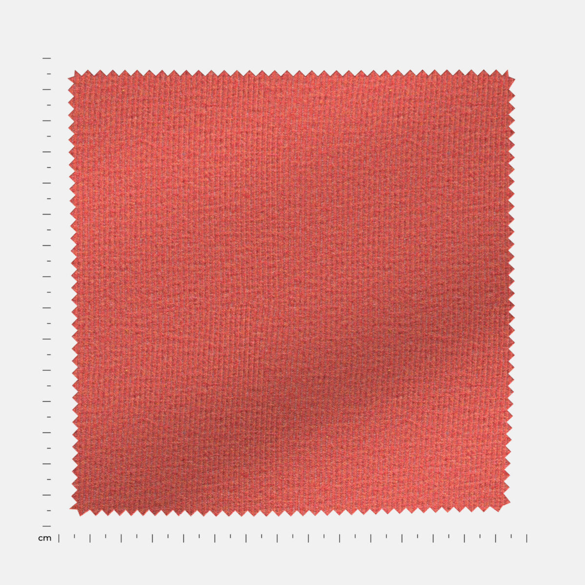 BCKRIB03331 - Image 4