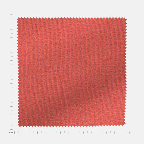 BCKRIB03331 - Image 4