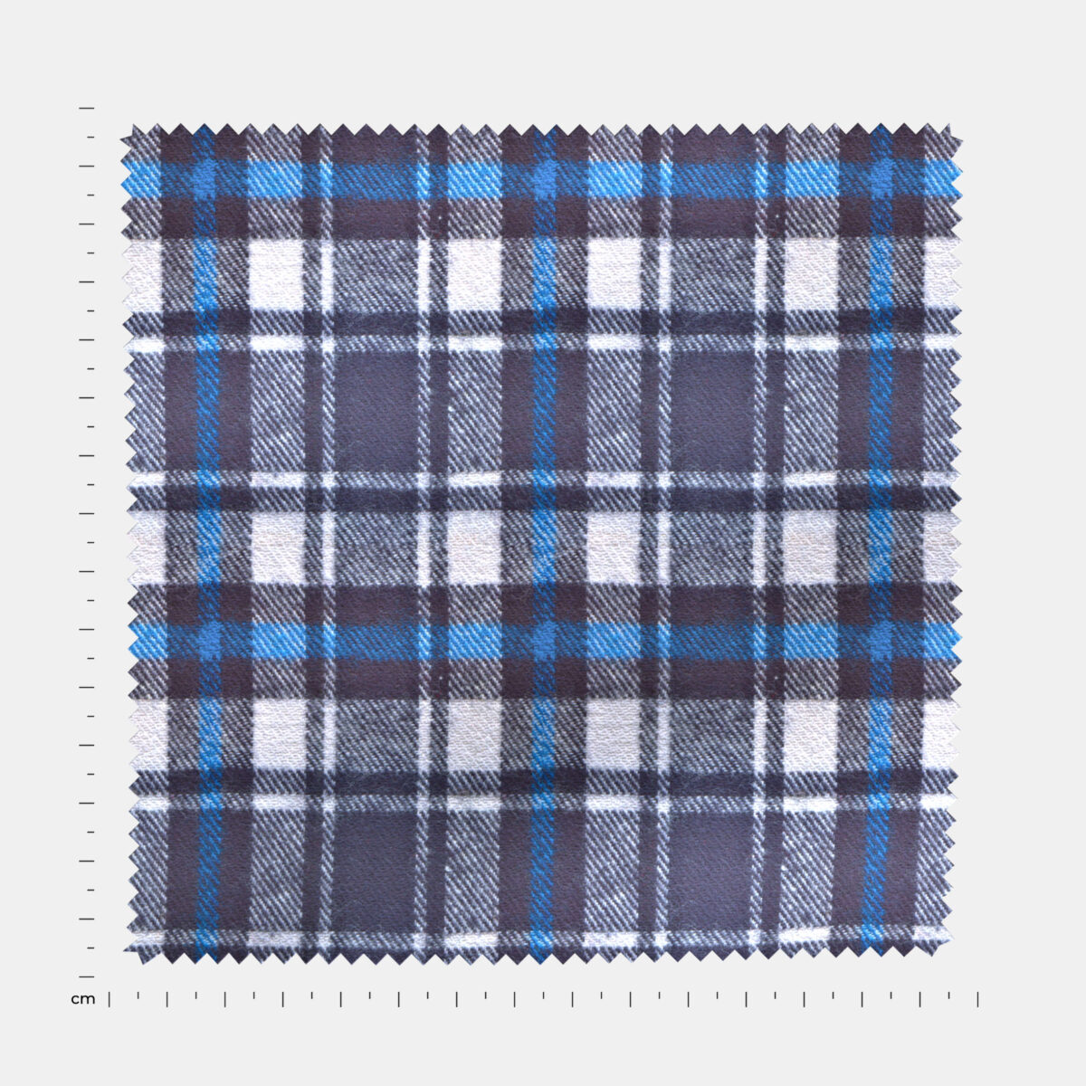 BCWFLA04067 - Image 4