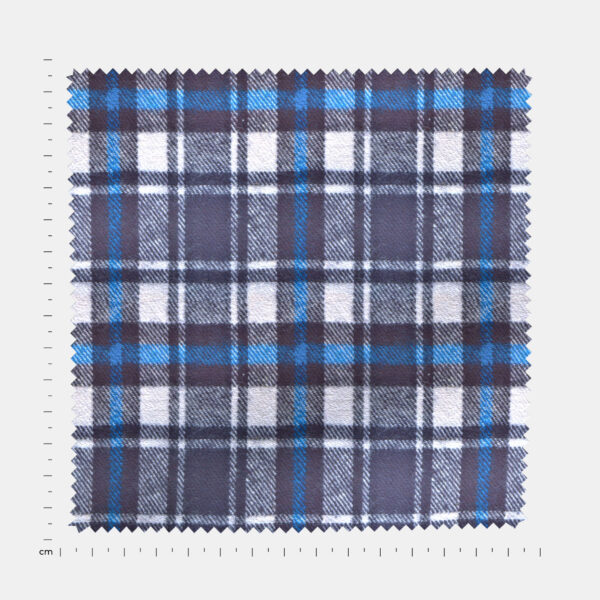 BCWFLA04067 - Image 4