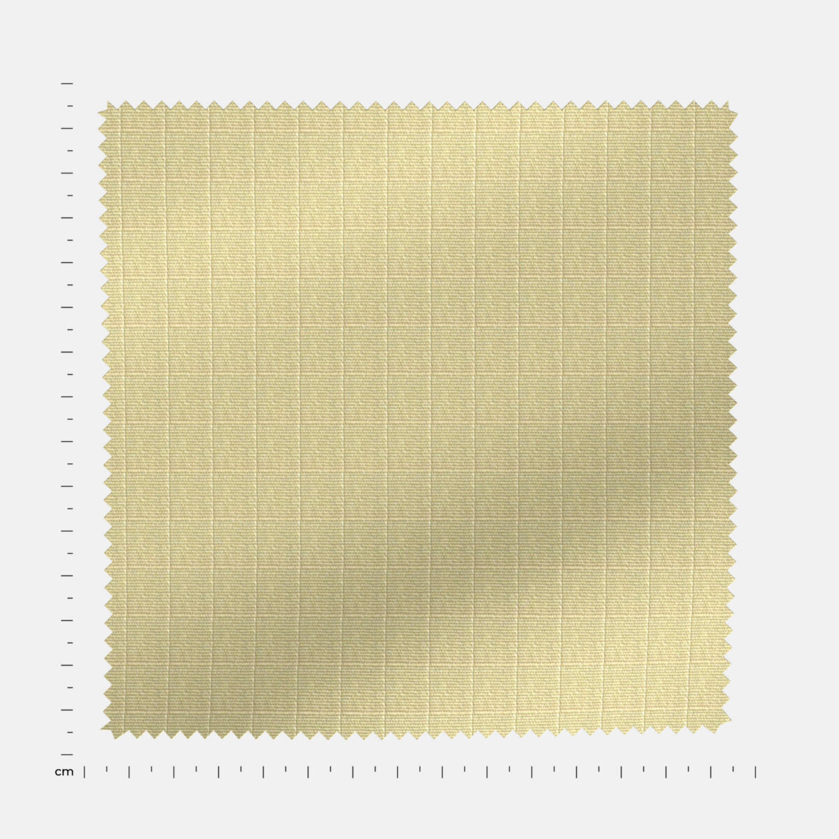 BCWRIP03635 - Image 4