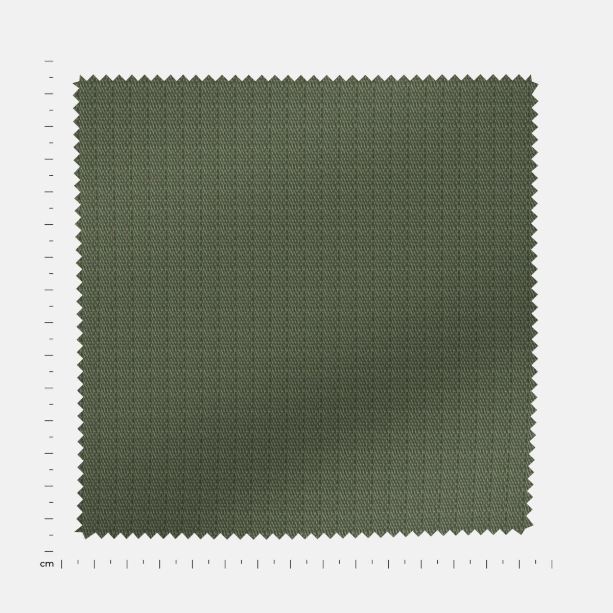 BCWRIP03652 - Image 4