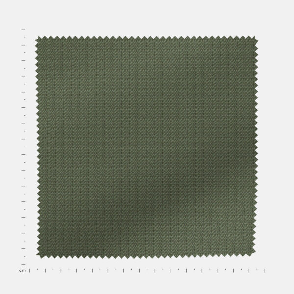 BCWRIP03652 - Image 4