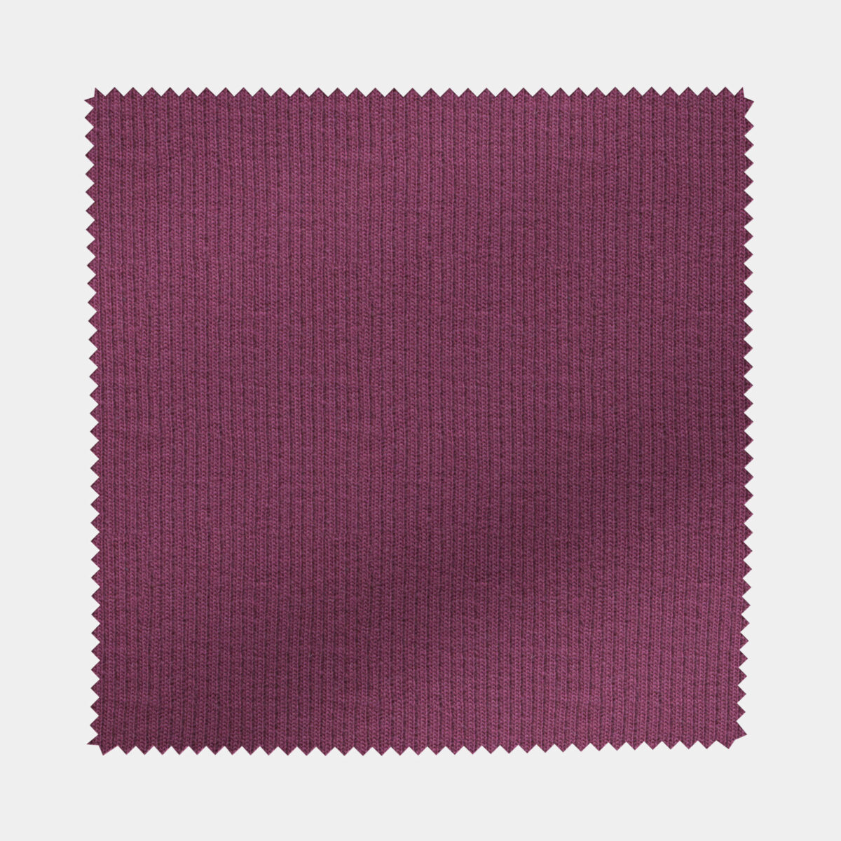 BCKRIB03318 - Image 3