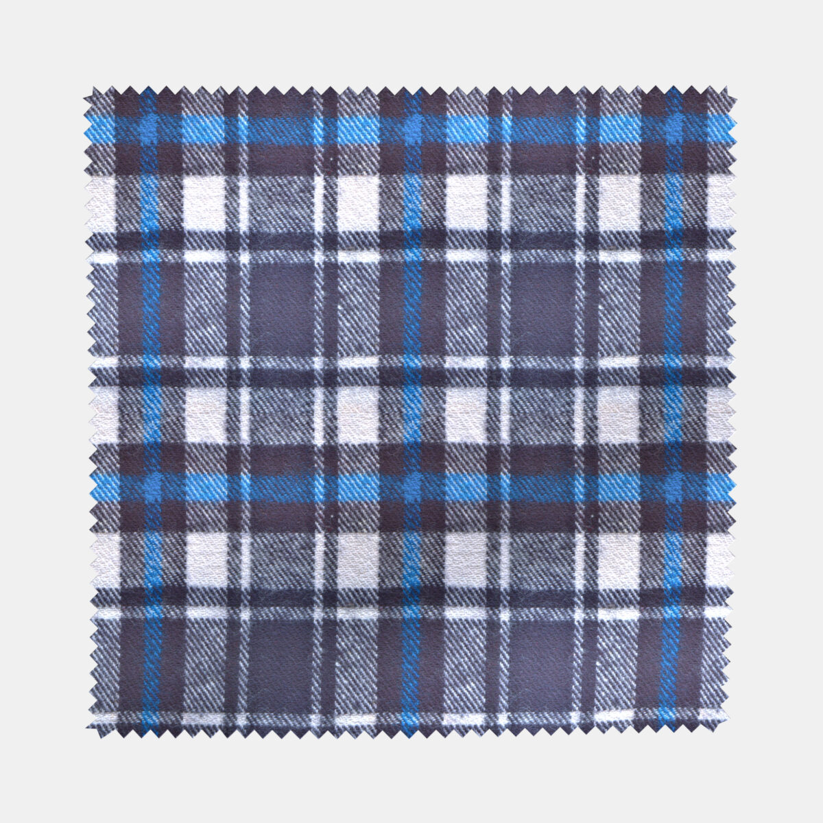 BCWFLA04067 - Image 2