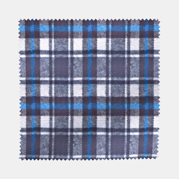 BCWFLA04067 - Image 2